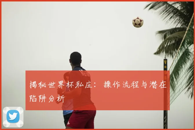揭秘世界杯私庄：操作流程与潜在陷阱分析