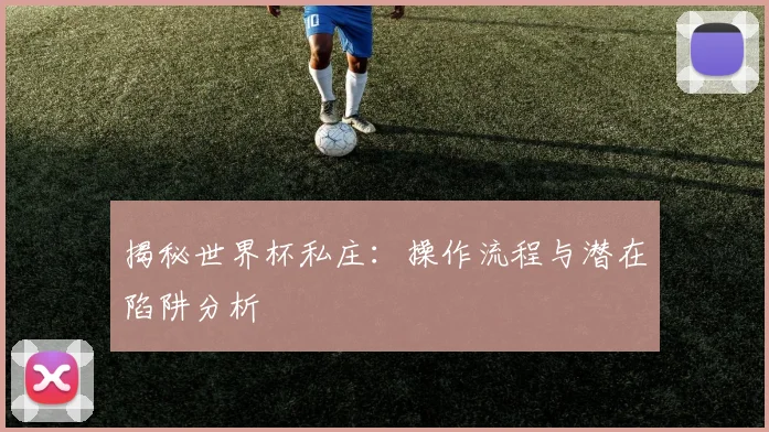 揭秘世界杯私庄：操作流程与潜在陷阱分析
