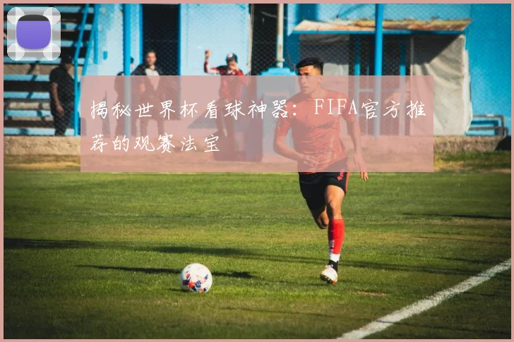 揭秘世界杯看球神器：FIFA官方推荐的观赛法宝