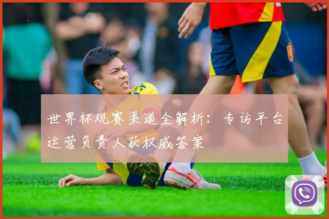 世界杯观赛渠道全解析：专访平台运营负责人获权威答案