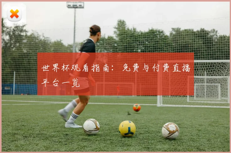 世界杯观看指南：免费与付费直播平台一览