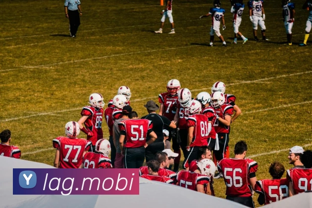 开云官方网站下载app平台生态图